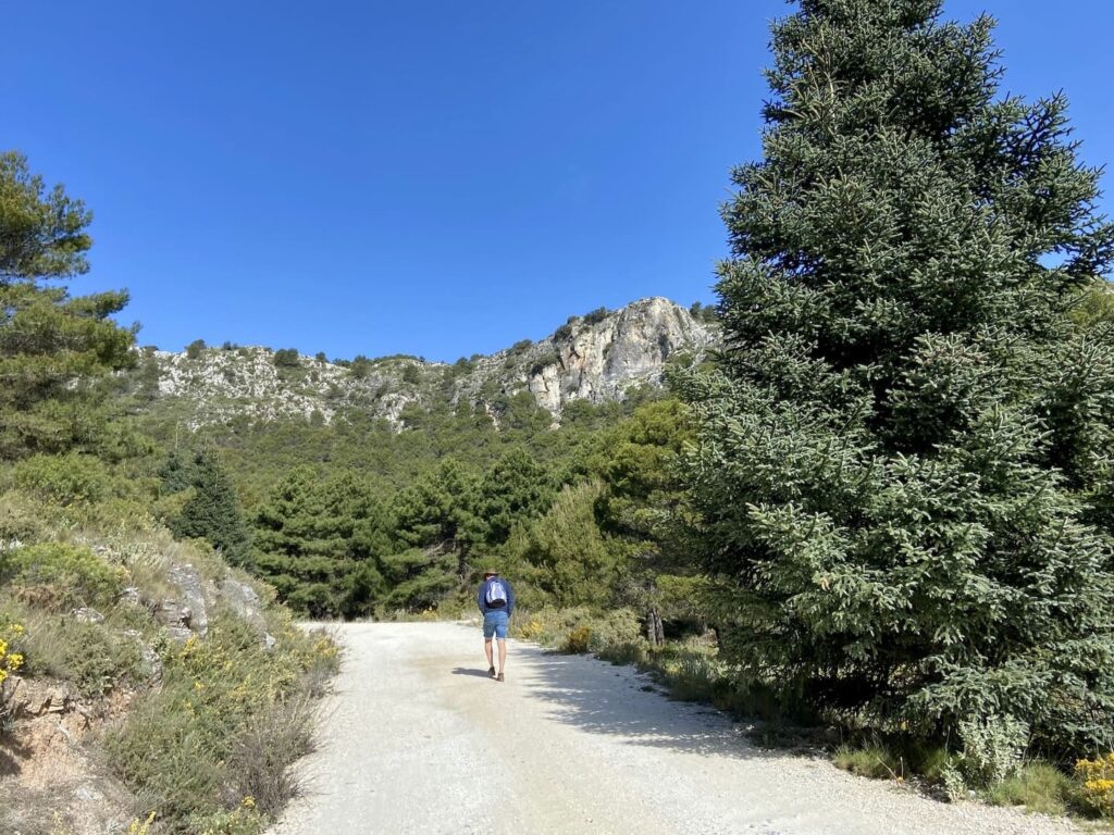 Alora en de Guadalhorce-vallei: onbekend achterland van Malaga 4 sierra de las nieves - pinsapo yunquera