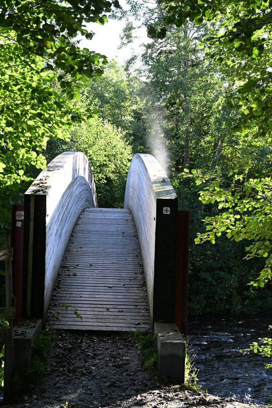st olavsleden - dauw op brug bij munkeby