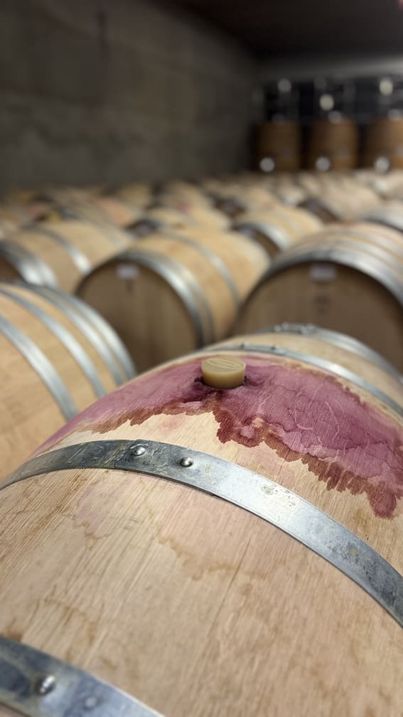 A Tour of the Val de Lleida: Nature, Art, and Tranquility in the Spanish Pyrenees 20 Castell d’Encus Wine Barrels - Val de Lleida