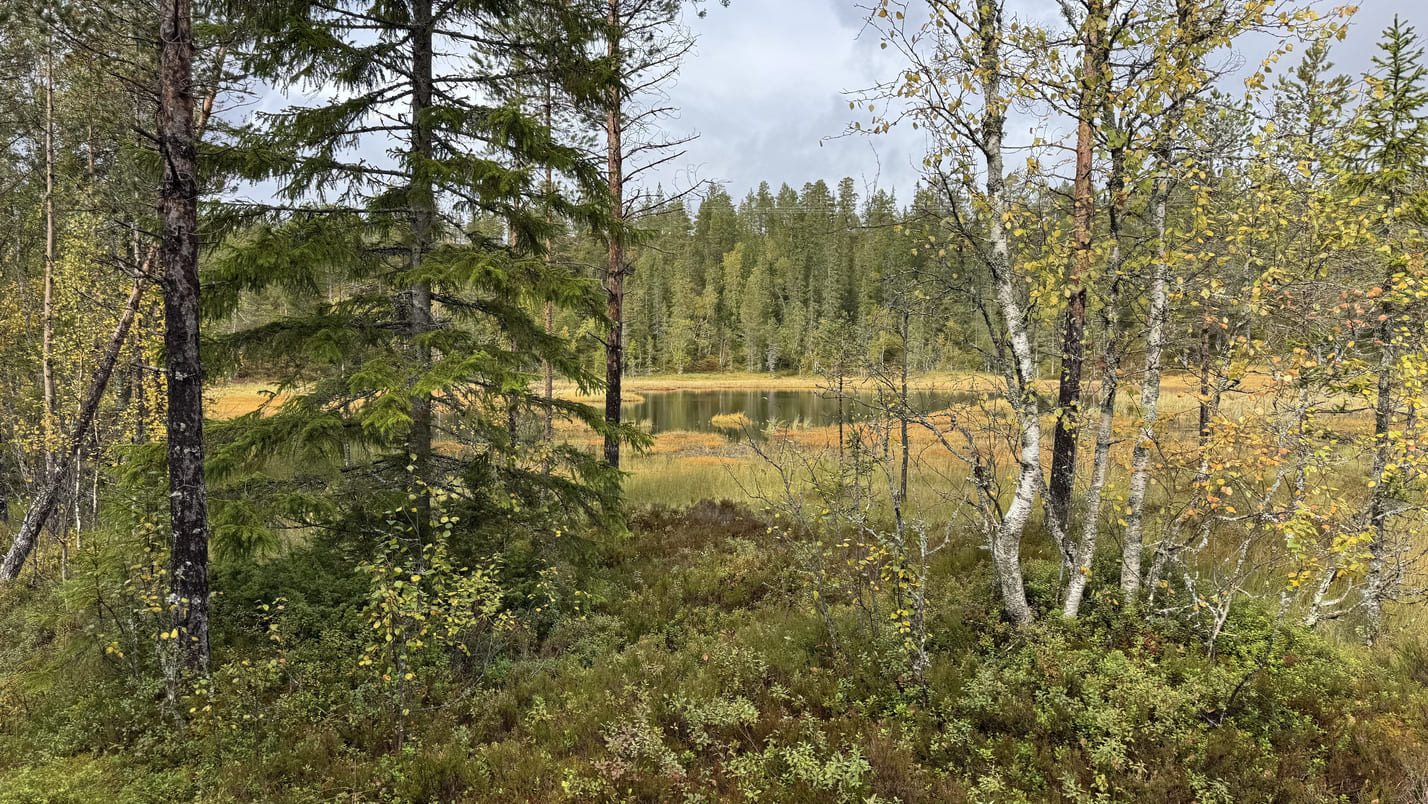 St. Olavsleden wandelen: pelgrimsroute van Zweden naar Trondheim in Noorwegen 16 IMG 7377