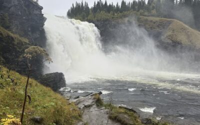 Wandelen naar Trondheim: mijn pelgrimsreis door Noorwegen