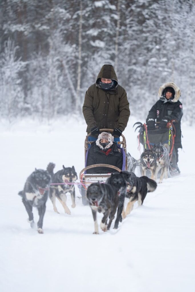 Ytterhogdal - dog sleds