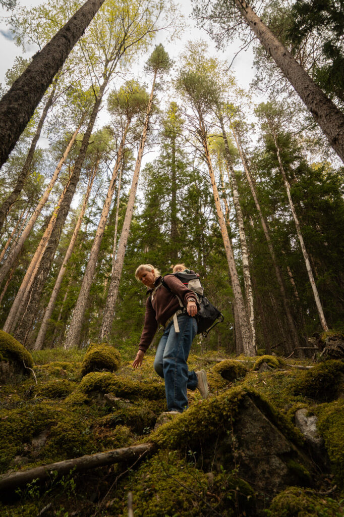 Ytterhogdal - Hiking in the Forest