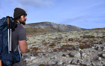 Dovrefjell in the Fall: A Musk Ox Safari from Oppdal