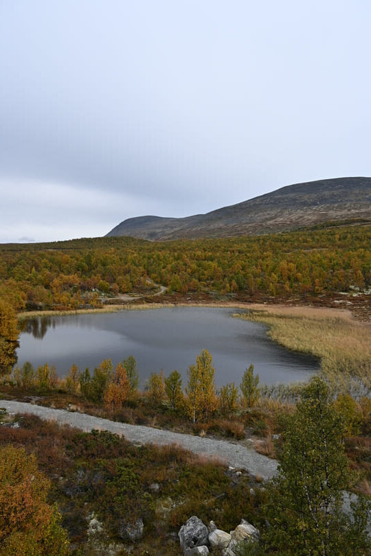 Dovrefjell Park - boulders - lake
