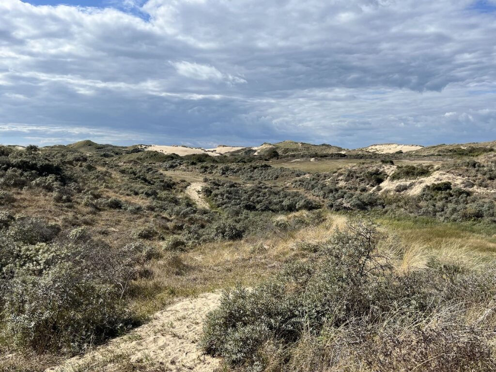 Dunes de la Slack - duinen
