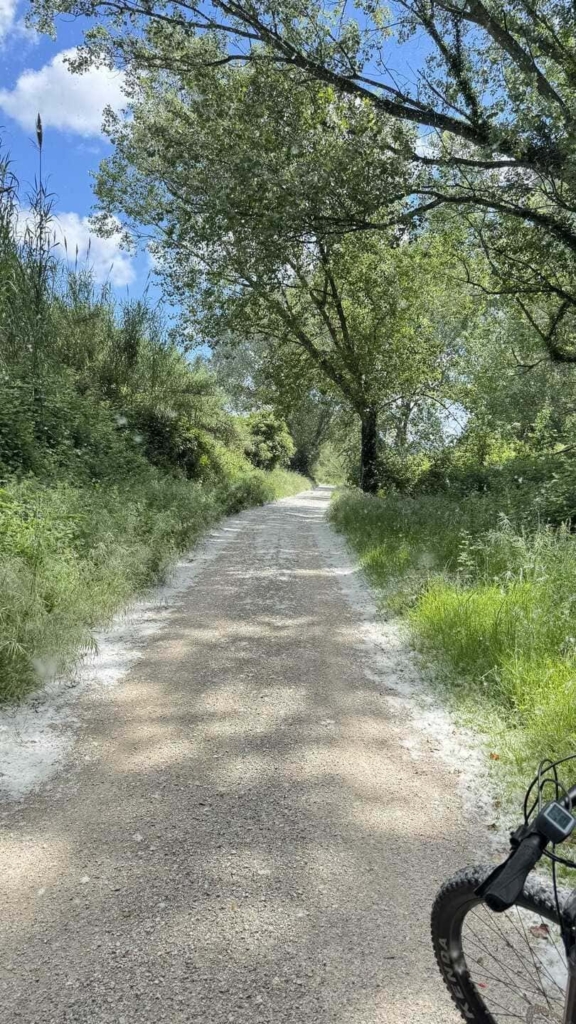 Cycling Around Lake Trasimeno 3 Lake Trasimeno Bike Trail - Trail Lined with Blossoms