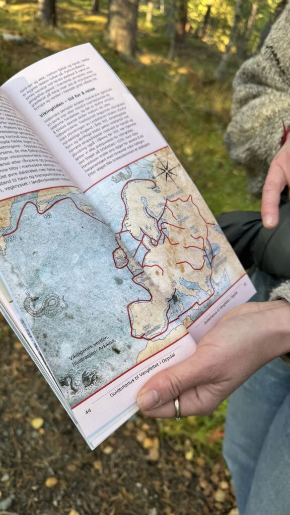 Vikings - Europe