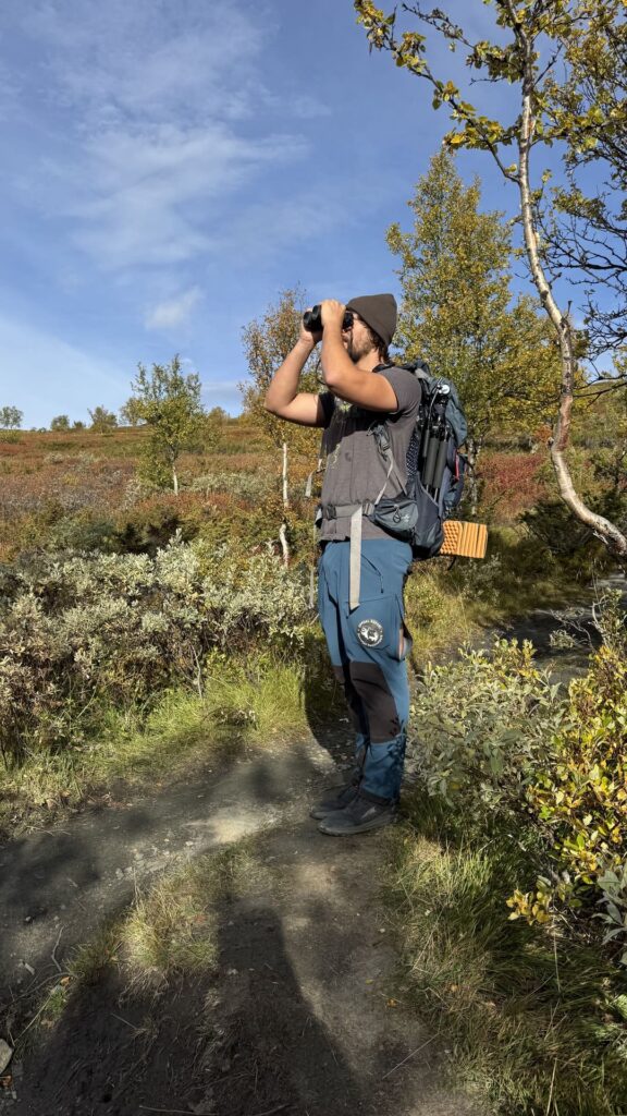 Dovrefjell Park - Guide searching with binoculars