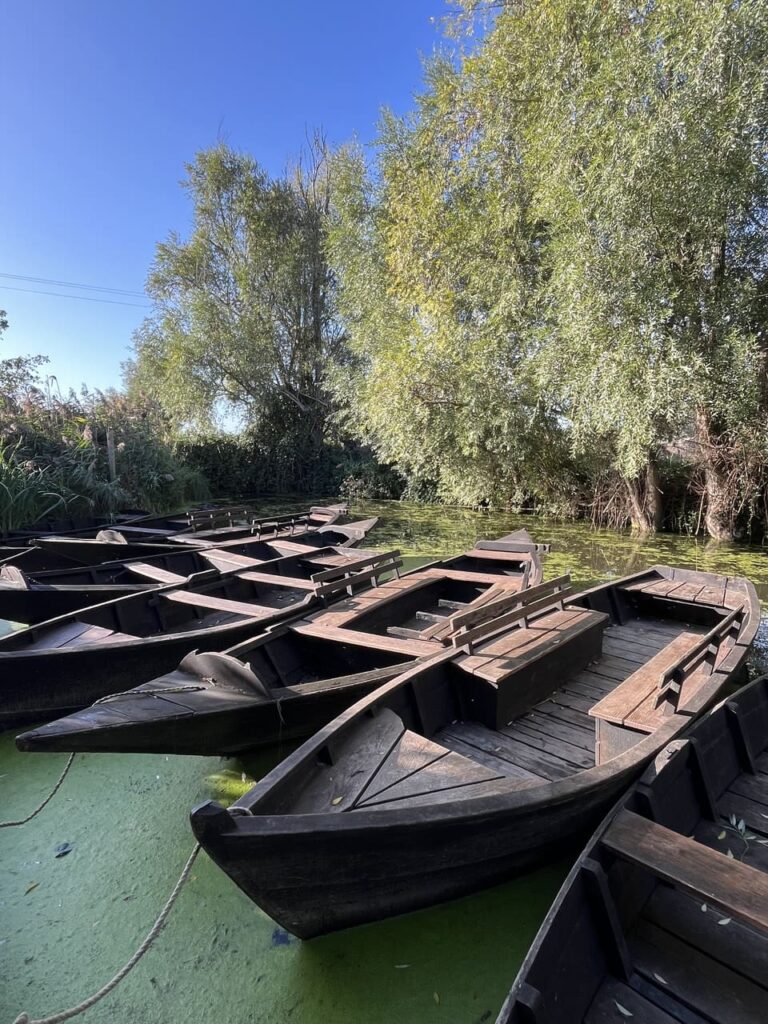 Moeras st Omer - bootjes