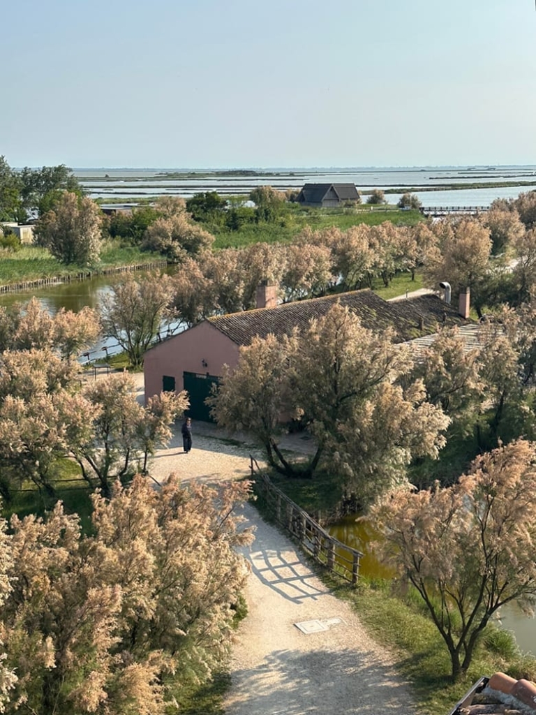 Ferrara - po delta