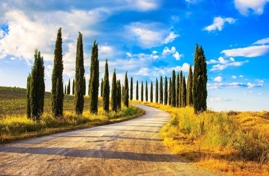 Tuscany - country road lined with cypress trees, Val di Dorcia
