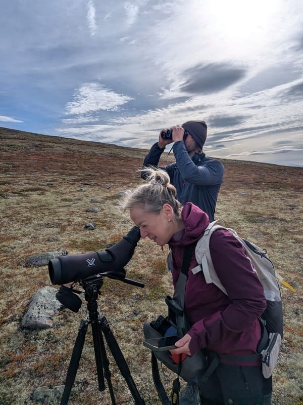 Dovrefjell National Park - Musk Ox Telescope