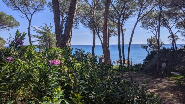 I Liberotti - Sardinie - natuur in tuin