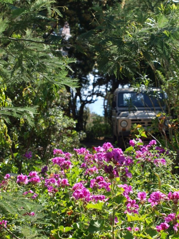 I Liberotti - Sardinie - tuin bloemen