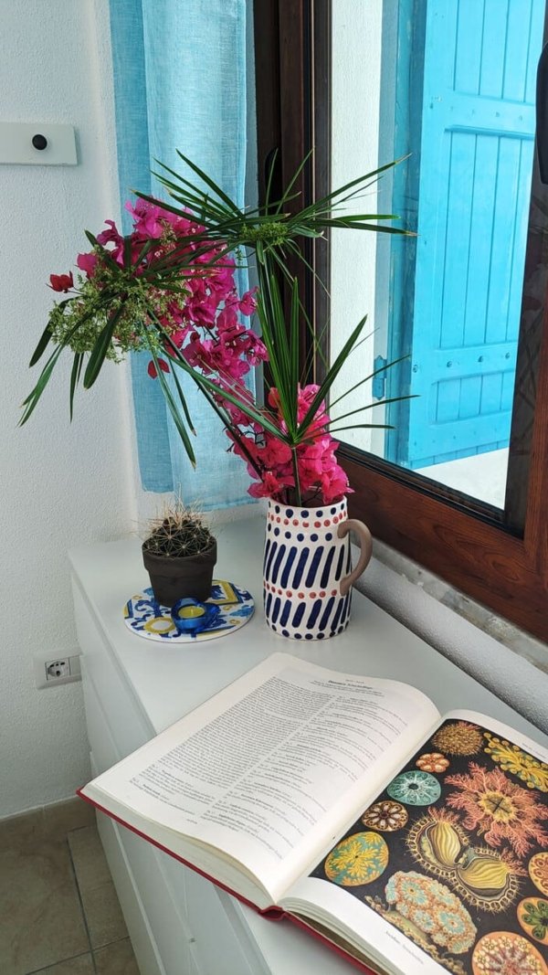 I Liberotti - Sardinie - Ginepro - boek en bloemen