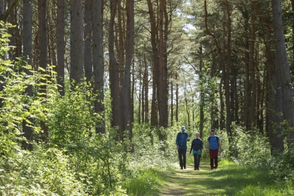 Ramsvik - wandelen in bos