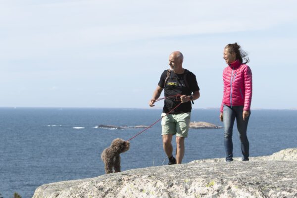 Ramsvik Stugby & Camping - wandelen met hond