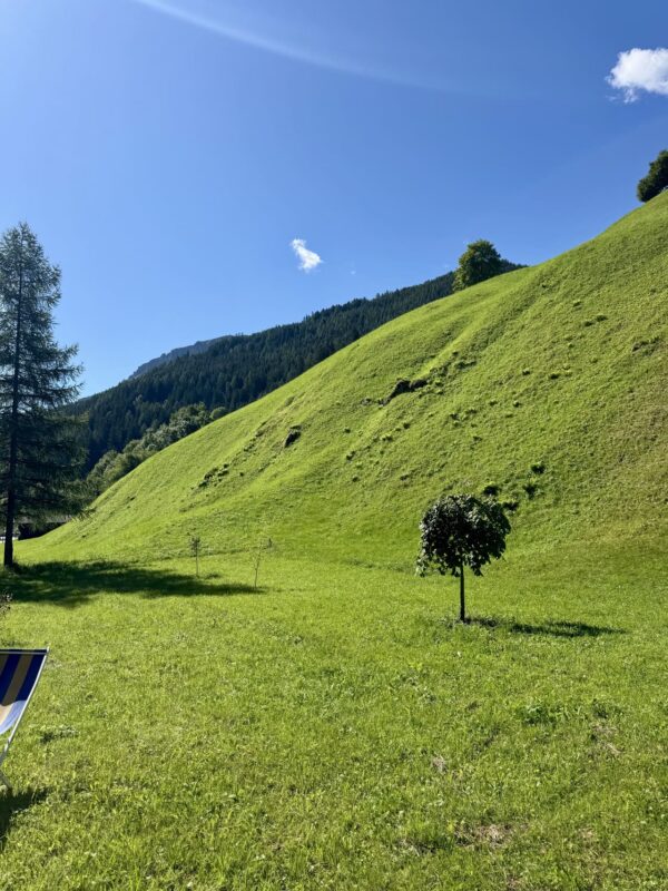 Nature House - Brennero - gras