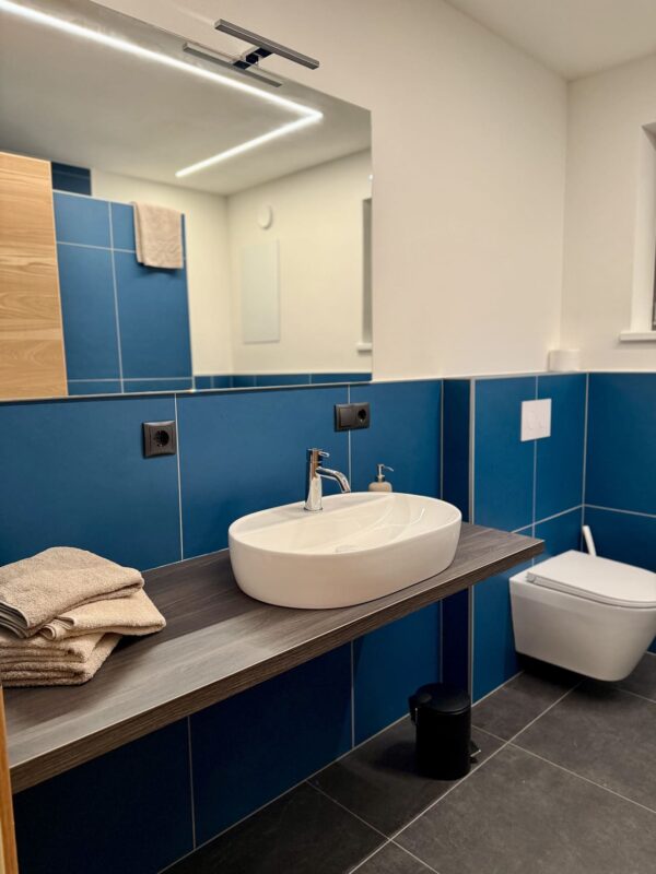 Nature House - Brennero - badkamer blauw