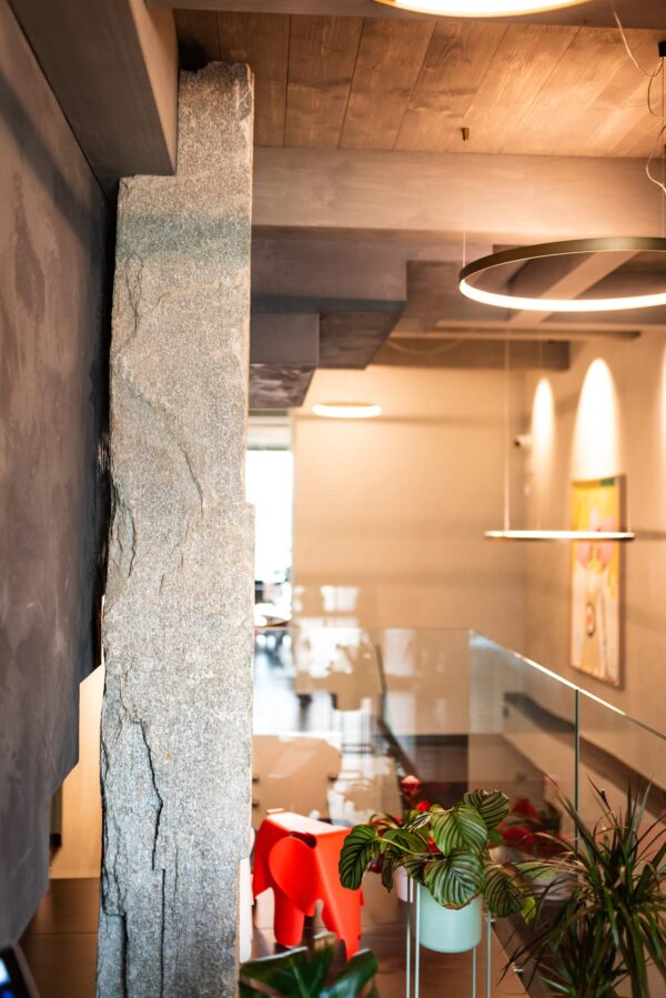 Vineho - interieur met planten